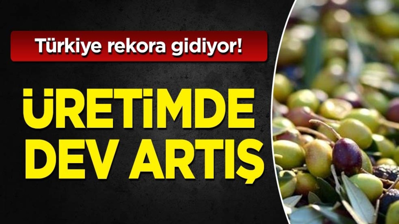 Antalya'da zeytin, zeytinyağı üretiminde dev artış: Türkiye tüm ezberleri bozdu! kapımızı çaldılar! Paylaşım yaptı
