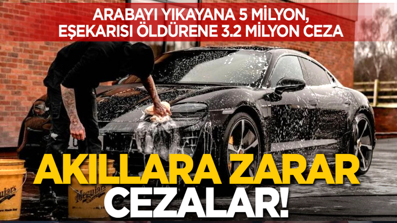Arabayı yıkayana 5 milyon, eşekarısı öldürene 3.2 milyon ceza: Akıllara zarar cezalar!