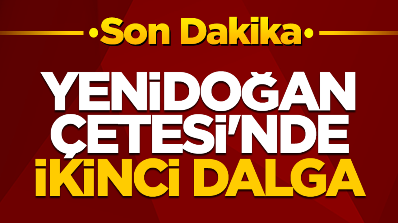 Aralarında doktor ve hemşireler de var! Yenidoğan Çetesi'nde ikinci dalga
