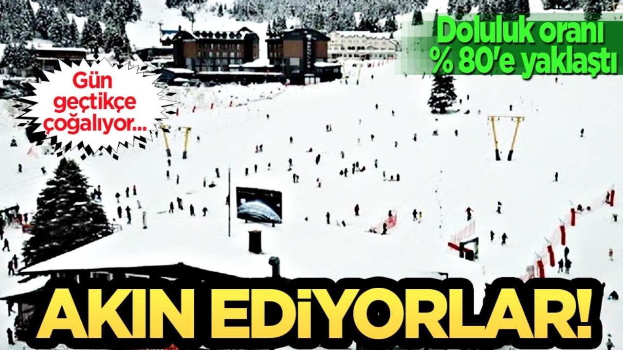 Araplar Karadeniz’i bıraktı! Yurtdışından Türkiye'ye akın ettiler! Türkiye kararı