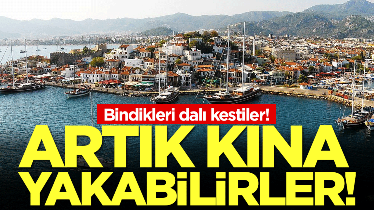 Artık kına yakabilirler: Sektör bindiği dalı kesti!
