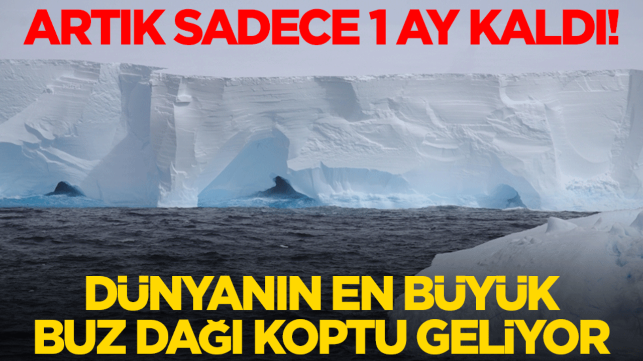 Artık sadece 1 ay kaldı! Dünyanın en büyük buz dağı koptu geliyor