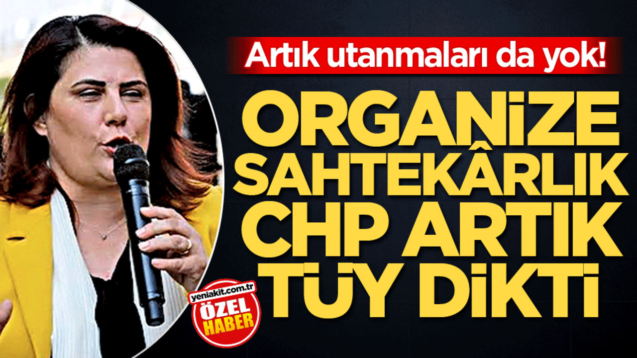 Artık utanmaları da yok! Organize sahtekârlık CHP artık tüy dikti