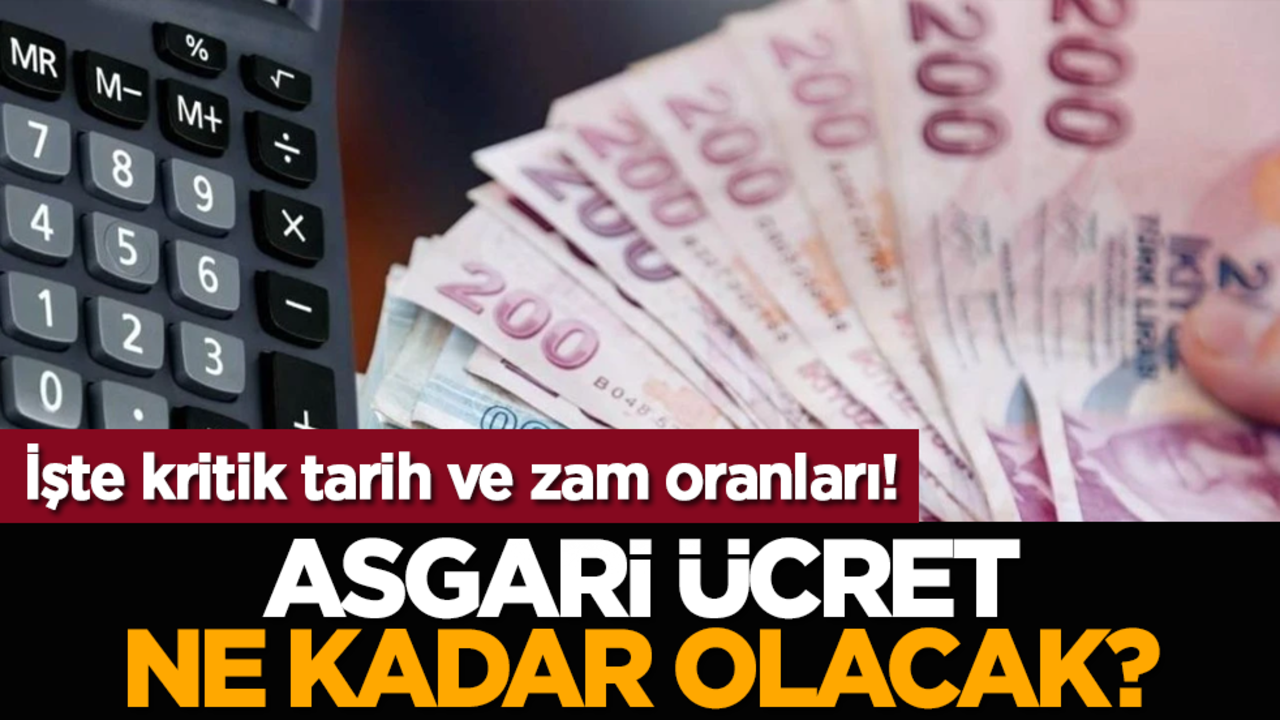 Asgari Ücret ne kadar olacak? İşte kritik tarih ve zam oranları!