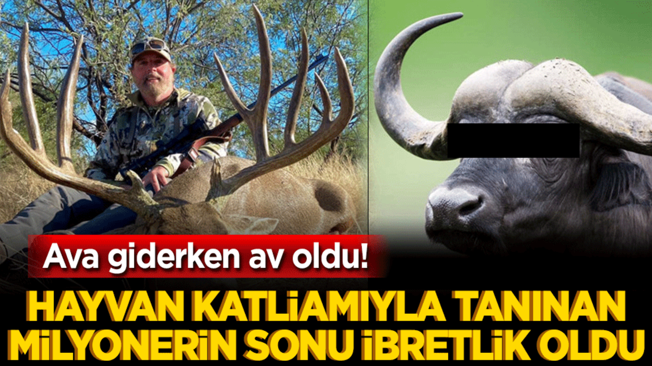 Ava giderken av oldu! Hayvan katliamıyla tanınan milyonerin sonu ibretlik oldu