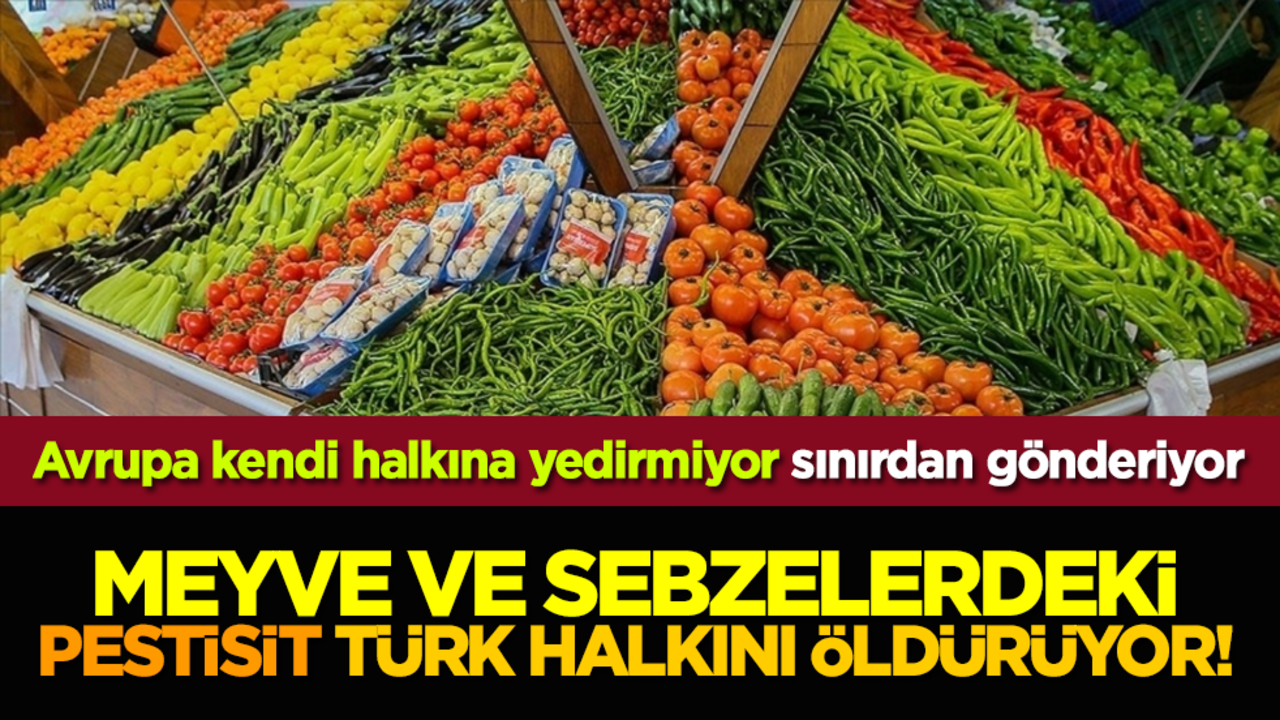 Avrupa kendi halkına yedirmiyor sınırdan gönderiyor: Meyve ve sebzelerdeki Pestisit Türk halkını öldürüyor!