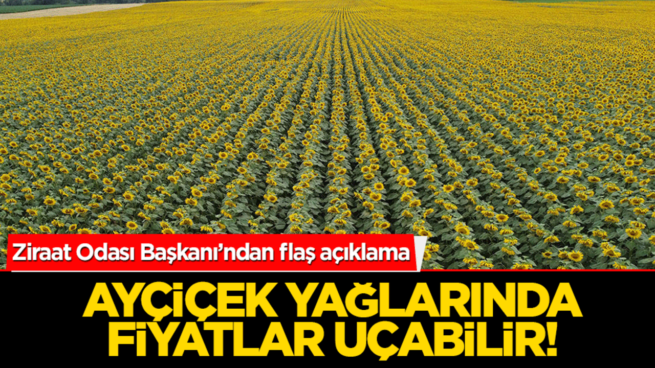 Ayçiçek yağlarında fiyatlar uçabilir! Ziraat Odası Başkanı’ndan flaş açıklama