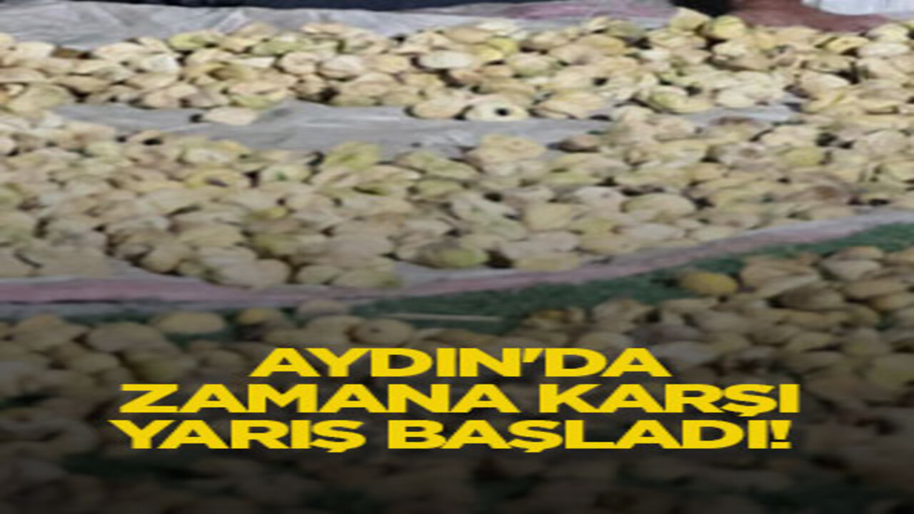 Aydın'da zamana karşı yarış başladı!