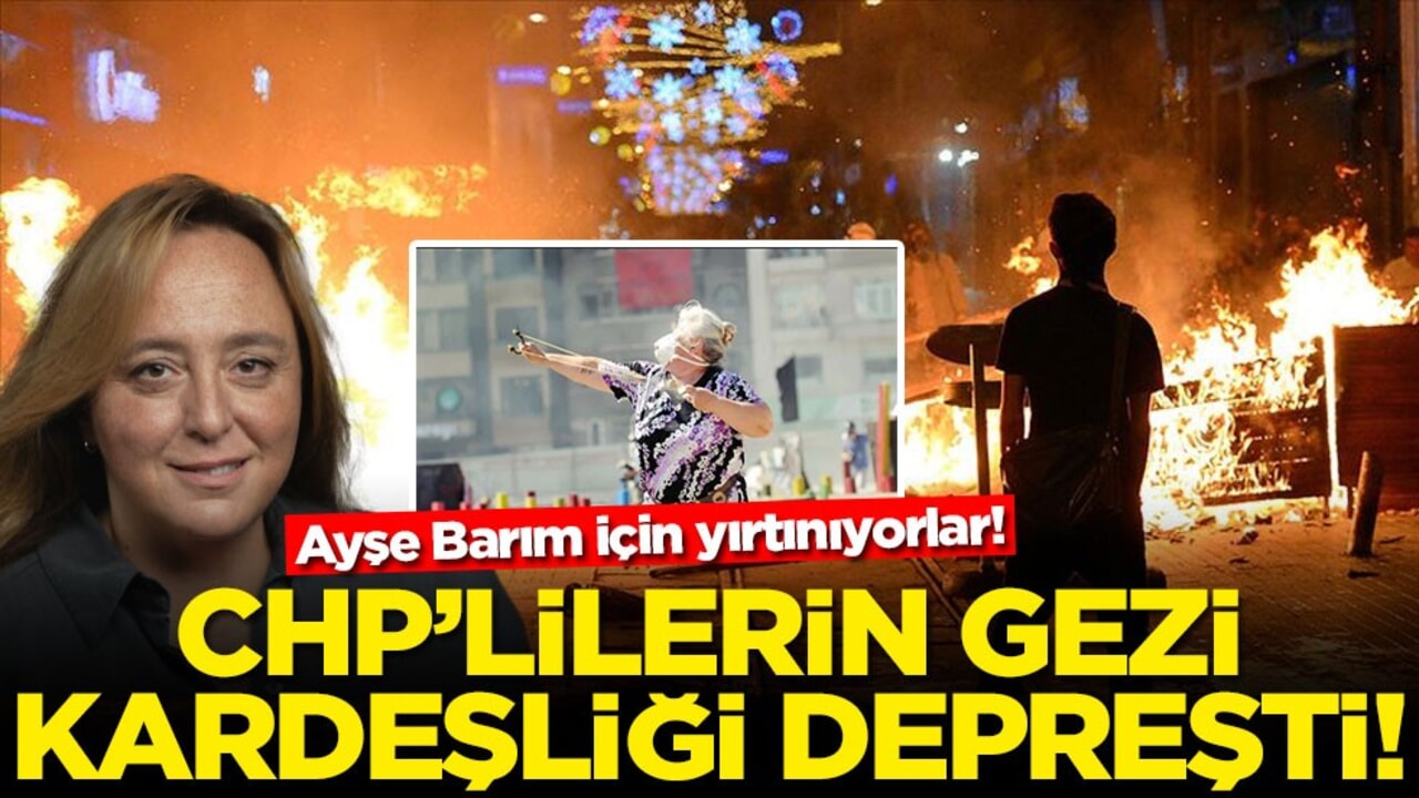 Ayşe Barım için yırtınıyorlar! CHP’lilerin gezi kardeşliği depreşti