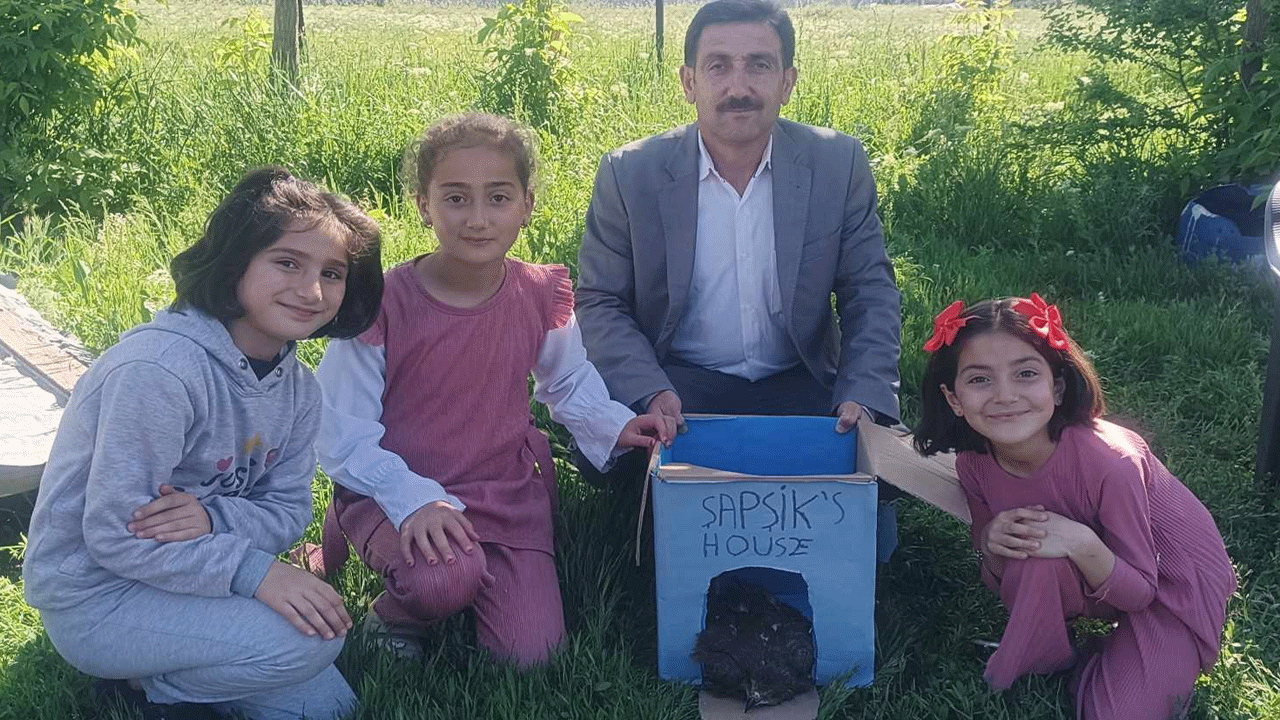 Baba ve 3 kızının yaralı halde bulduğu kartal yavrusuna Şapşik ismi verildi