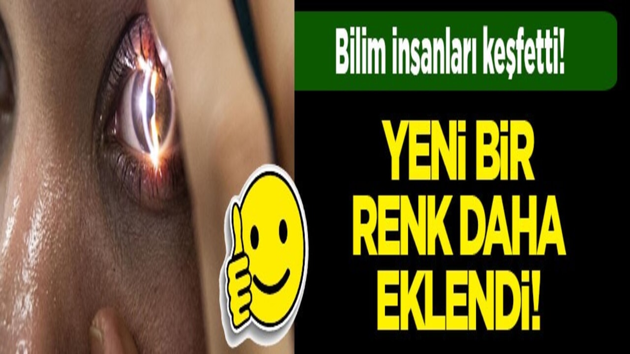 Bağışçıların parasıyla lüks hayat süren köpek velisi ve akrabalarına 12 yıl 3 ay hapis istendi: Sadece kamuyu 18 milyon 627 bin lira zarara uğratmışlar