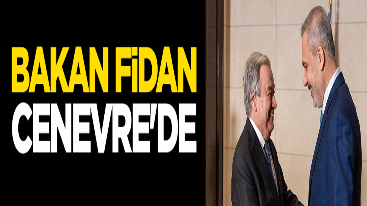 Bakan Fidan, Cenevre'de