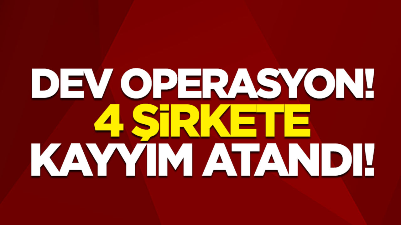 Bakan Yerlikaya dev operasyonu duyurdu! 4 şirkete kayyım atandı!