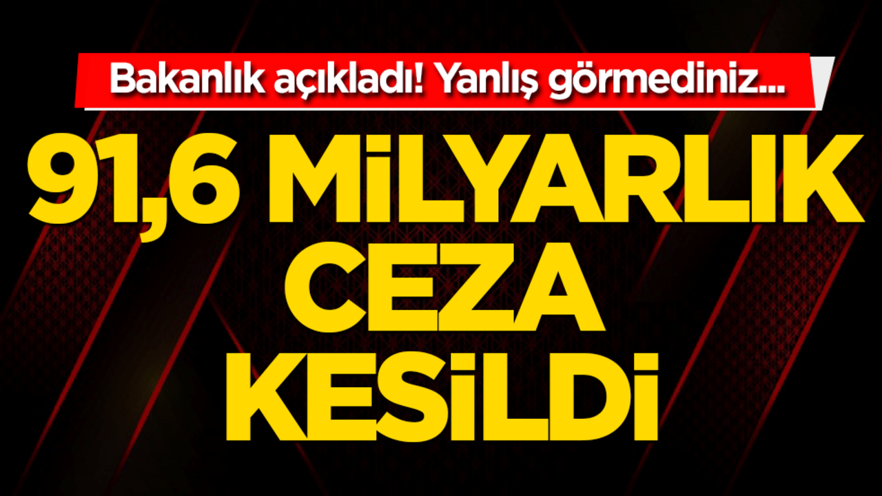 Bakanlık açıkladı! 2024’te 91,6 milyar TL ceza kesildi