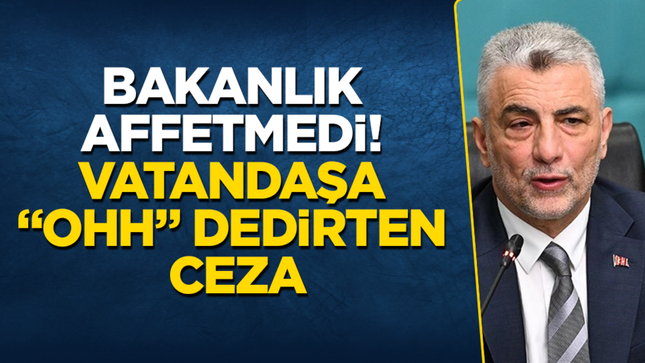 Bakanlık affetmedi! Vatandaşa "ohh" dedirten ceza