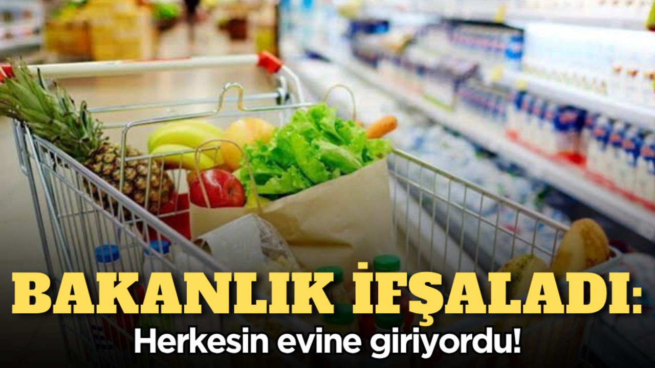 Bakanlık ifşaladı: Herkesin evine giriyordu…