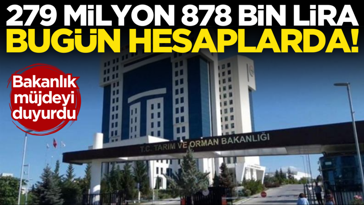Bakanlık müjdeyi duyurdu! 279 milyon 878 bin lira bugün hesaplarda