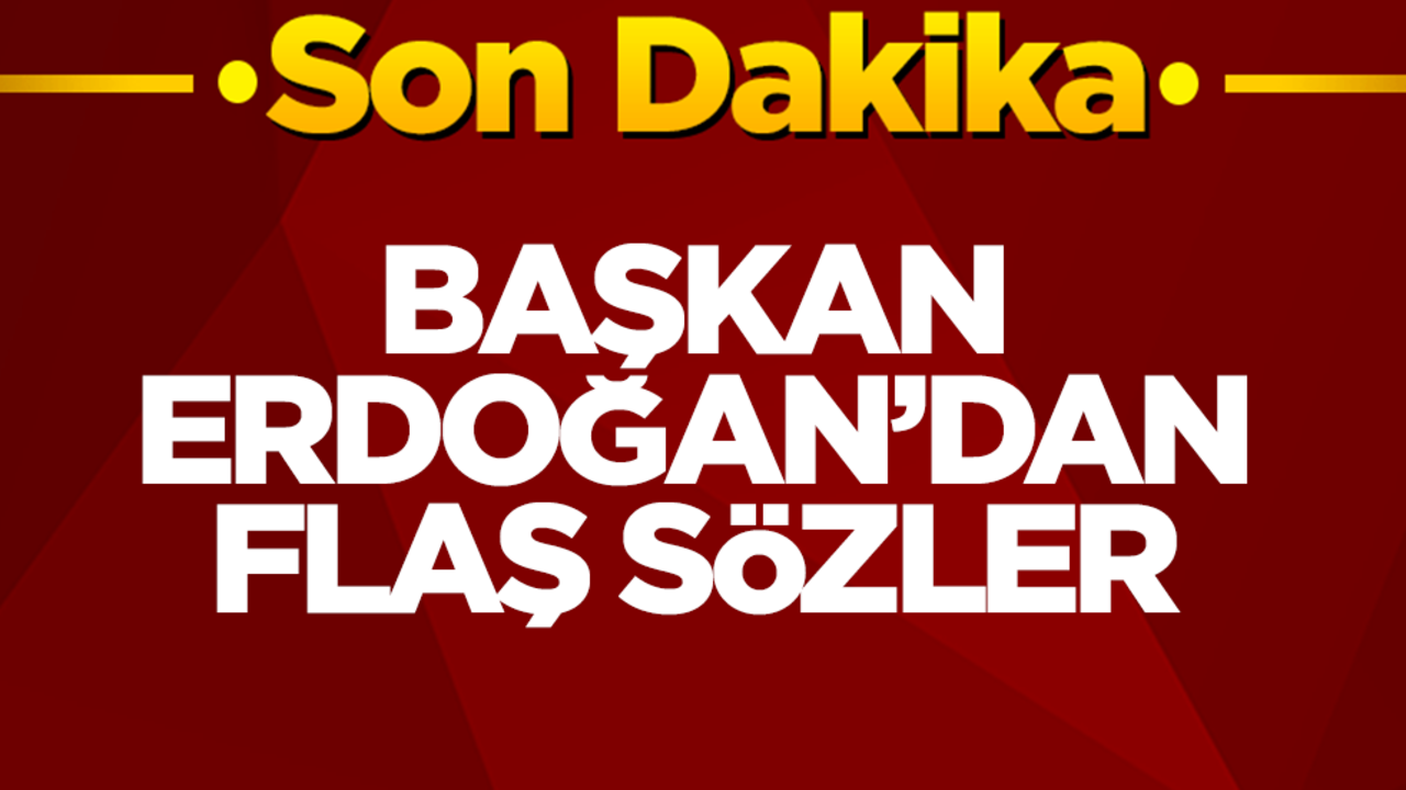 Başkan Erdoğan'dan önemli çağrı: Gelin el ele verelim