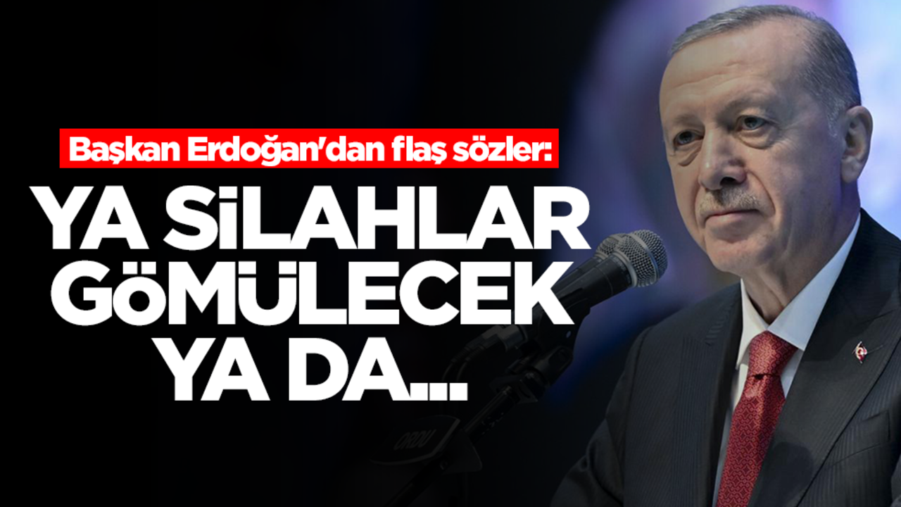 Başkan Erdoğan'dan flaş sözler: Ya silahlar gömülecek ya da...