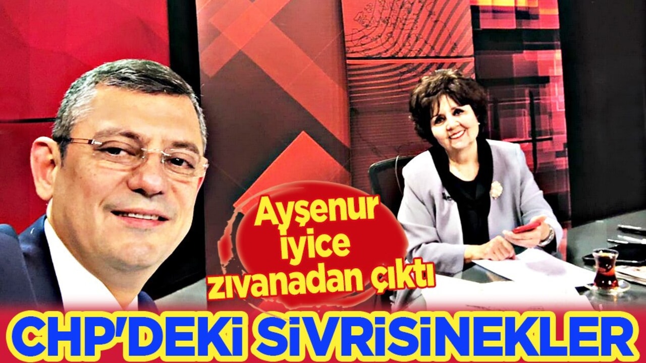 Berhan Şimşek Ayşenur Arslan'ın hedefi oldu: CHP'deki sivrisinekler! Ağzını fena bozdu