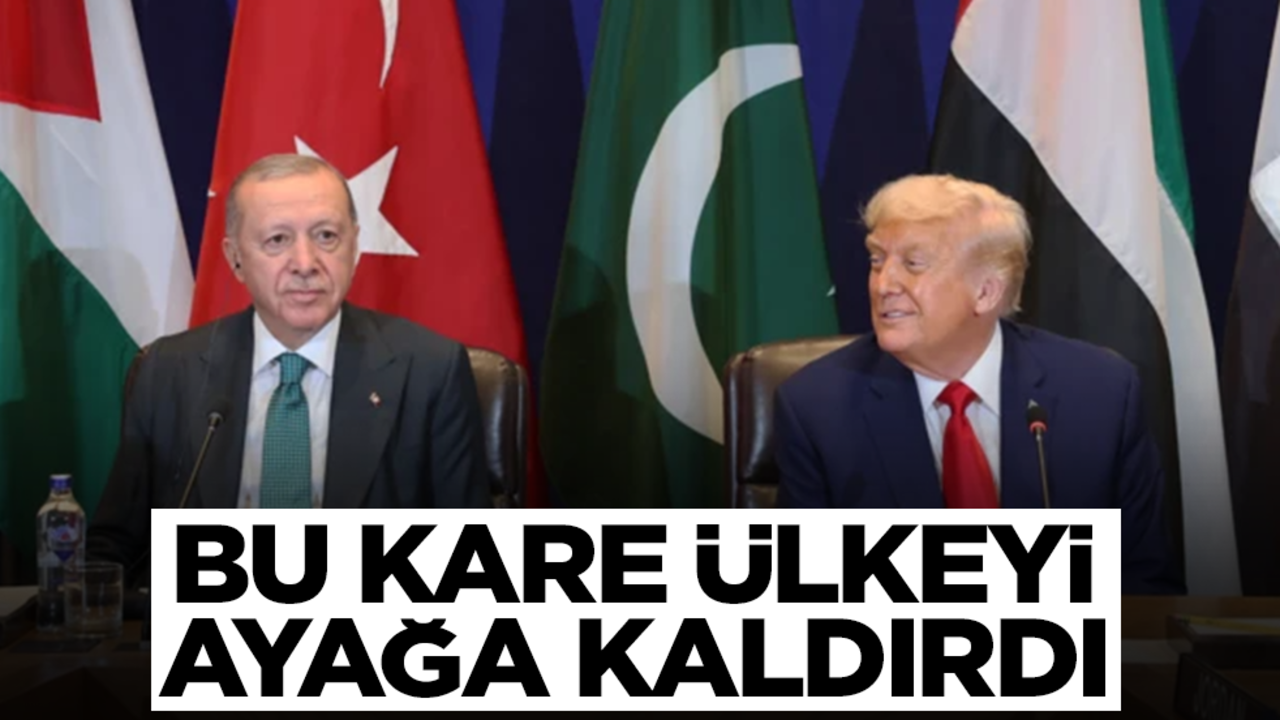 "Bıçak parası" iddiası: ADÜ'lü akademisyen görevden uzaklaştırıldı