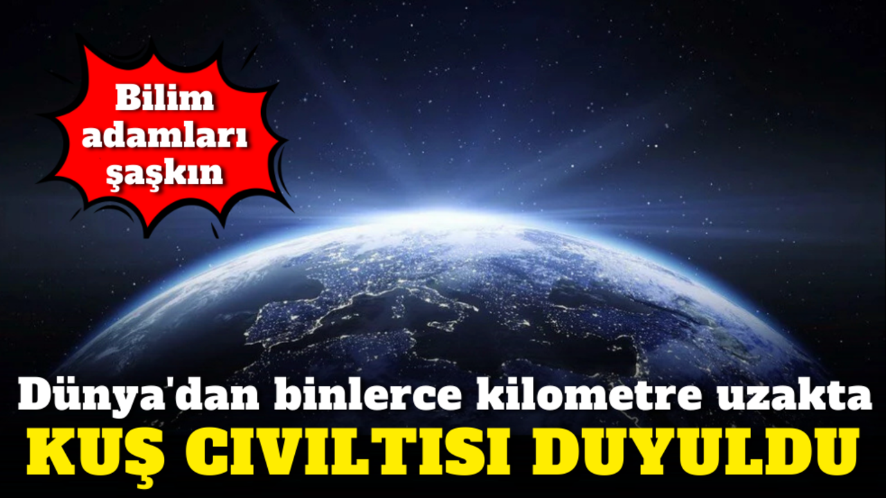 Bilim adamları şaşkın: Dünya'dan binlerce kilometre uzakta kuş cıvıltısı duyuldu!