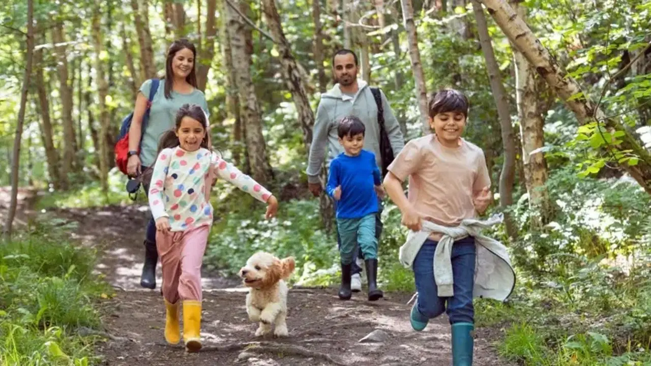 Bilimsel gerçek: Doğada 20 dakika kalmak vücudu yeniliyor