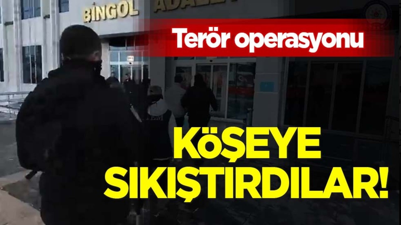 Bingöl’de terör örgütü üyesi köşeye sıkıştı, tutuklandı! Türkiye'den bir darbe daha: Operasyon başlattı!