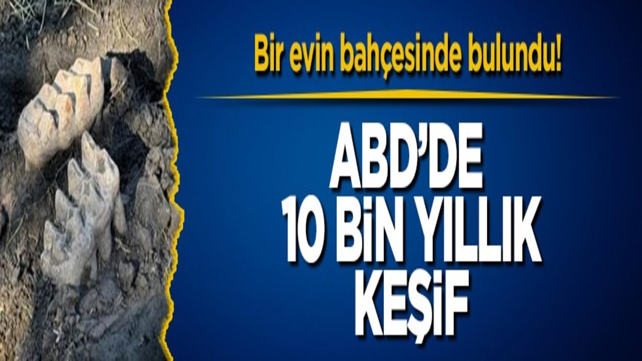 Bir evin bahçesinde bulundu! ABD’de 10 bin yıllık keşif