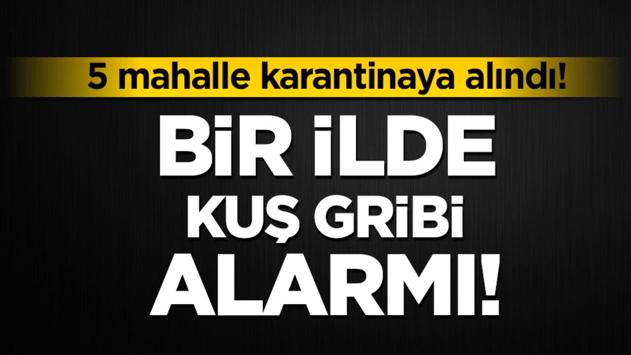 Bir ilde kuş gribi alarmı! 5 mahalle karantinaya alındı!