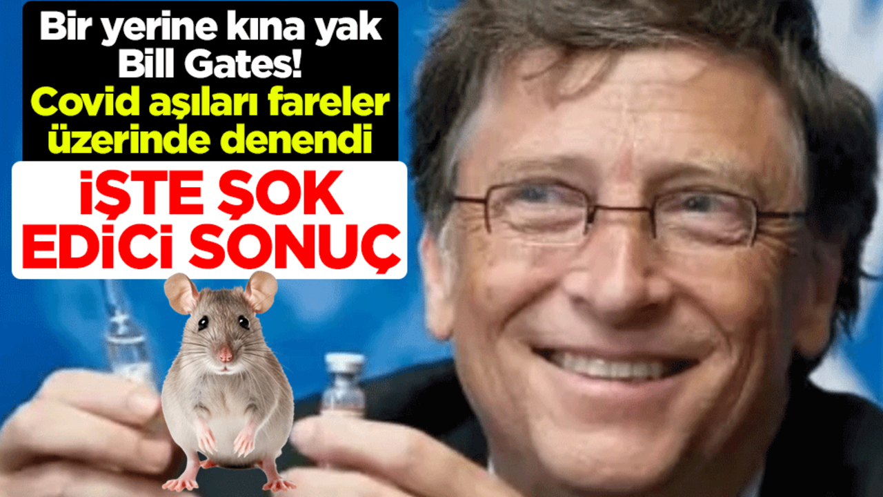 Bir yerine kına yak Bill Gates! Covid aşıları fareler üzerinde denendi.. İşte şok edici sonuç: Yüzde 60 doğurganlık kaybı!