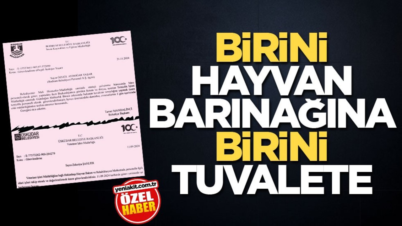 Birini hayvan barınağına birini tuvalete