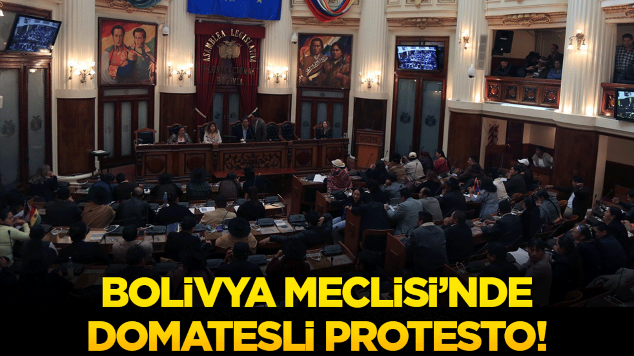 Bolivya Meclisi'nde Domatesli Protesto!