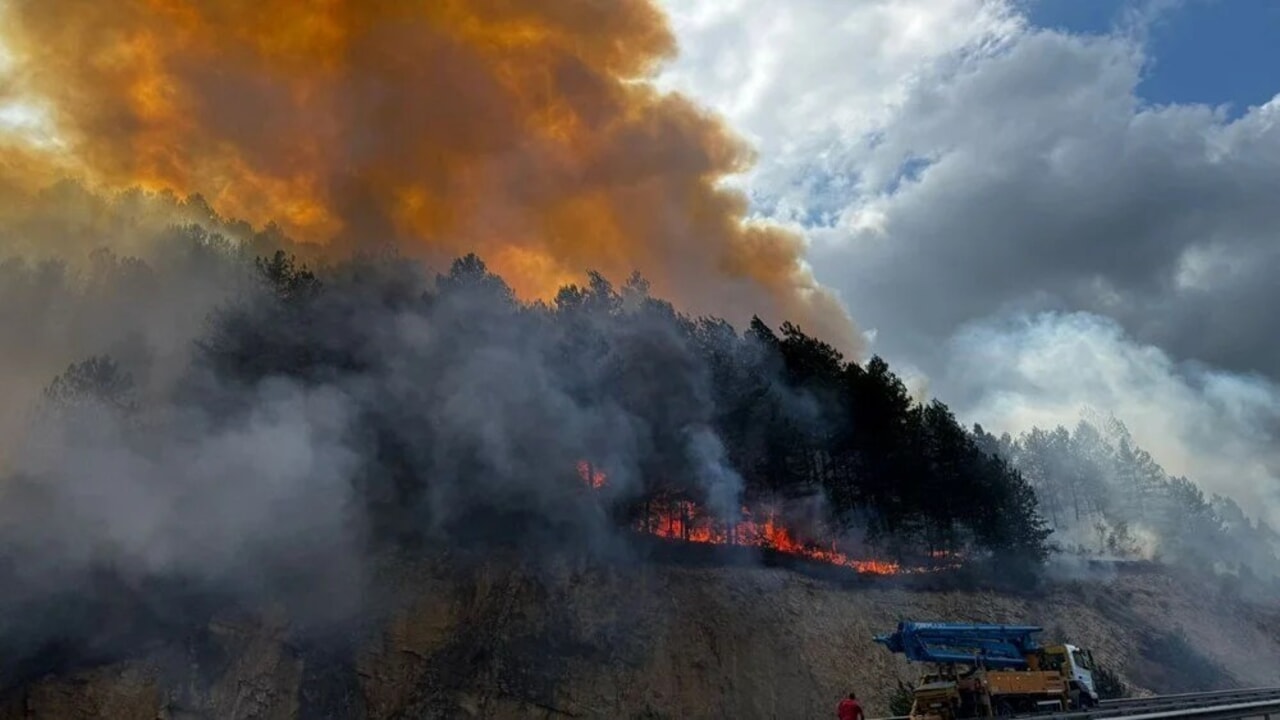 Bolu’da çıkan orman yangını kontrol altına alındı