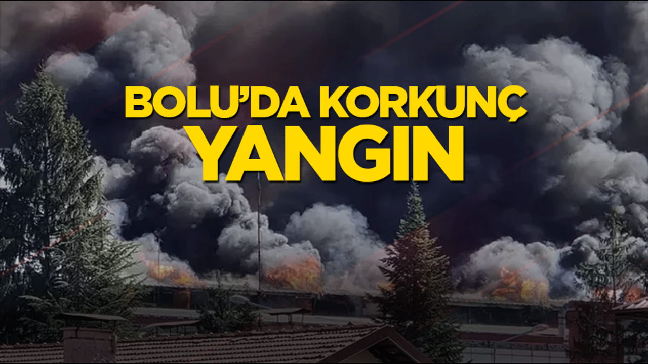 Bolu'da fabrikada büyük yangın!