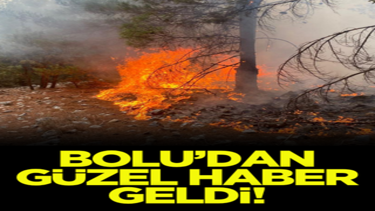 Bolu’dan güzel haber geldi