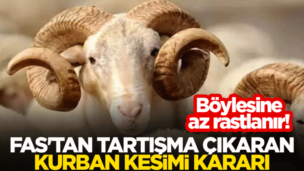 Böylesine az rastlanır! Fas'tan tartışma çıkaran kurban kesimi kararı