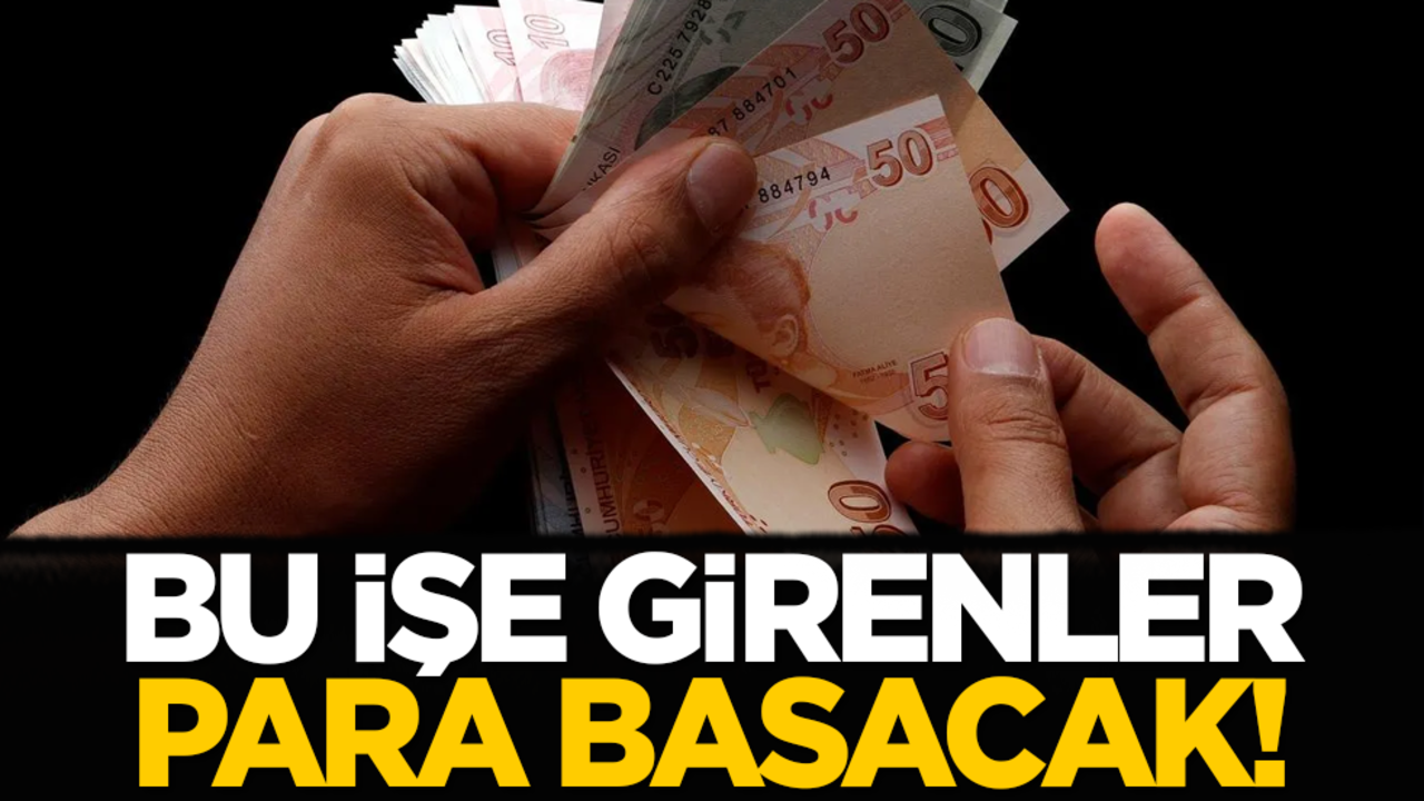 Bu işe girenler para basacak!