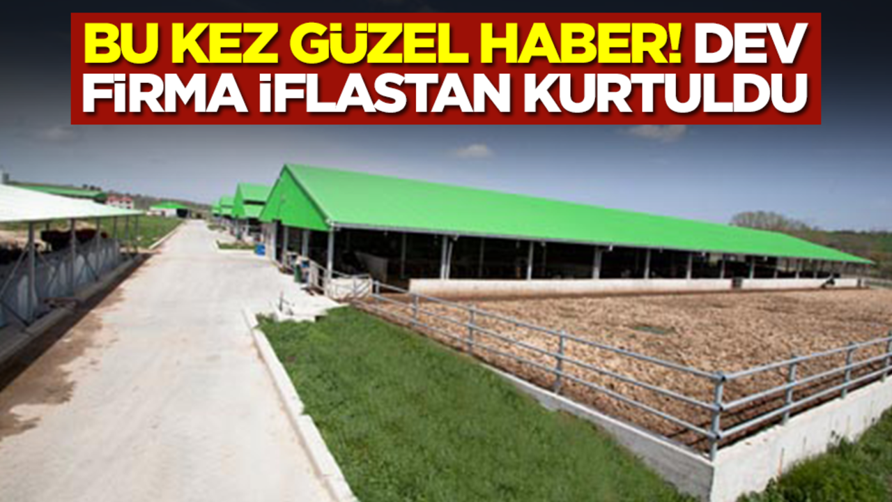 Bu kez güzel haber! Dev firma iflastan kurtuldu