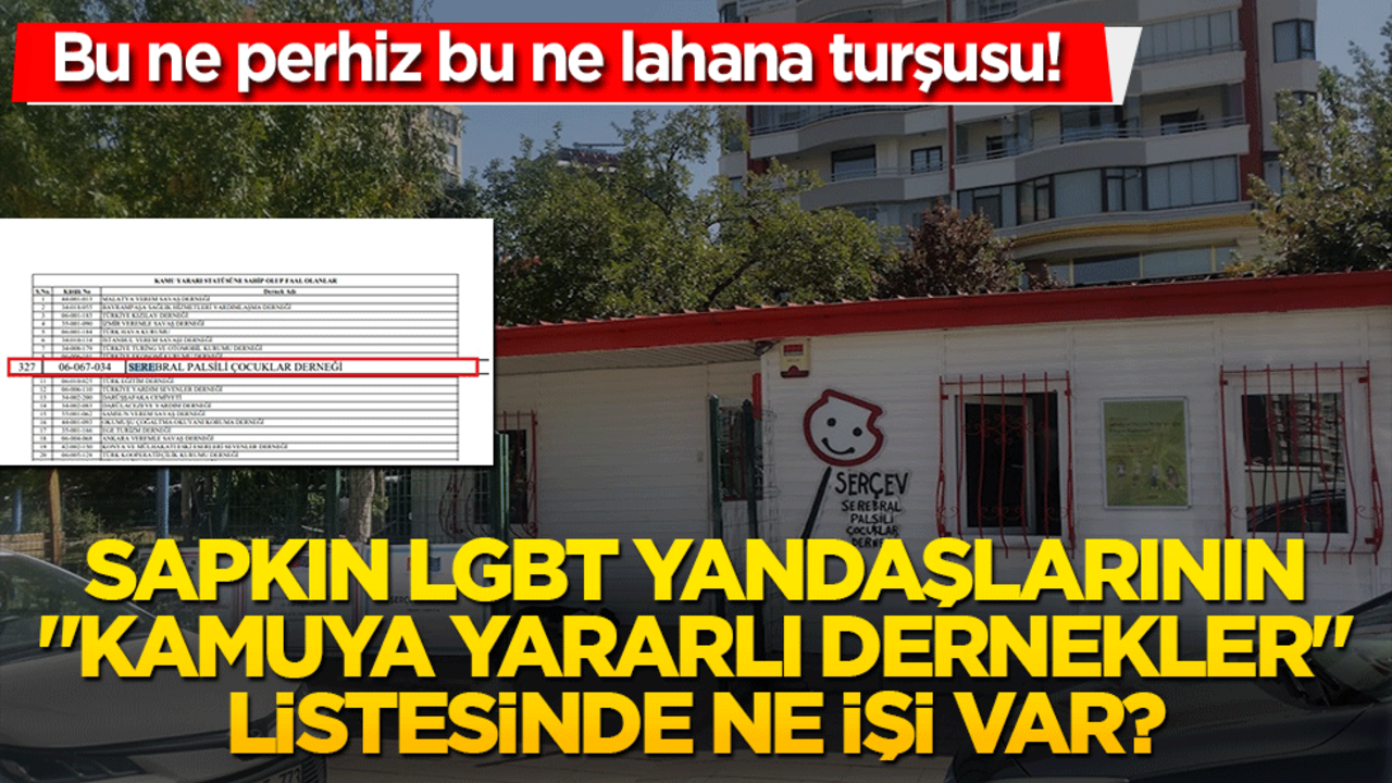 Bu ne perhiz bu ne lahana turşusu! Sapkın LGBT yandaşlarının "Kamuya Yararlı Dernekler" listesinde ne işi var?