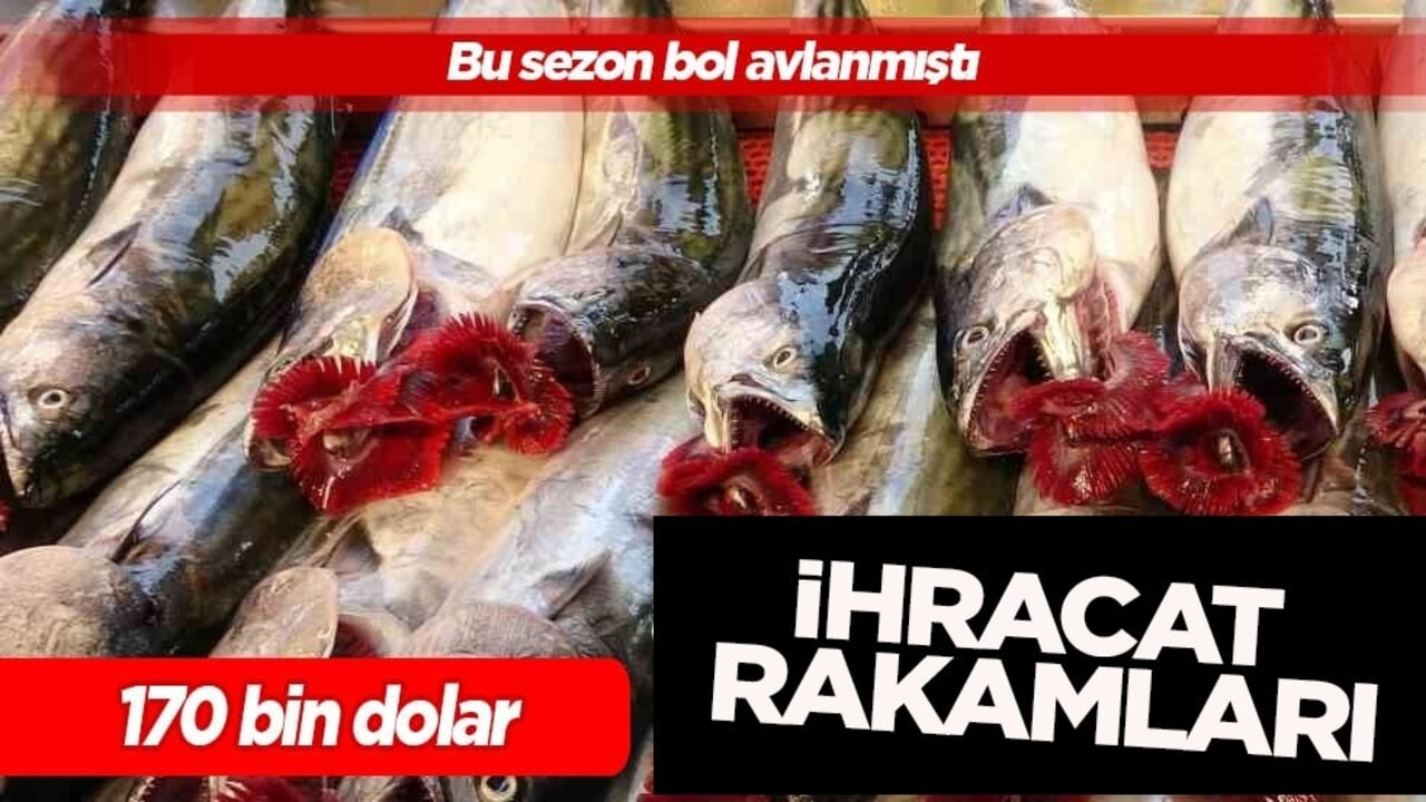 Bulgaristan, Azerbaycan ve 2 ülke ile yapılan ihracat rakamları: Bu sezon 168 bin 47 dolar 