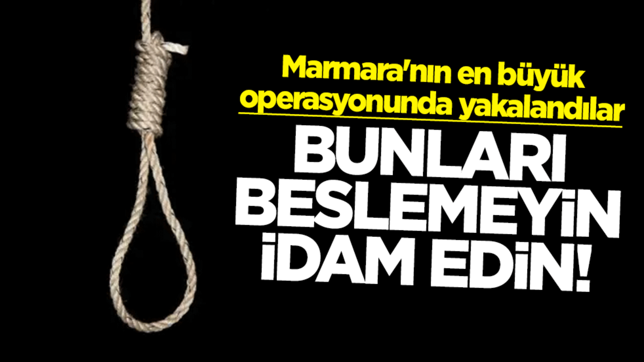Bunları beslemeyin idam edin! Marmara'nın en büyük operasyonunda yakalandılar