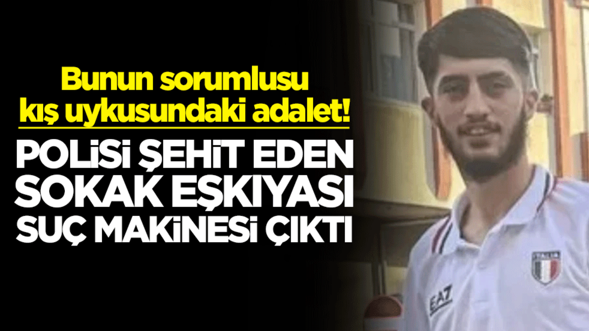 Bunun sorumlusu kış uykusundaki adalet! Polisi şehit eden Yunus Emre Geçti, suç makinesi çıktı