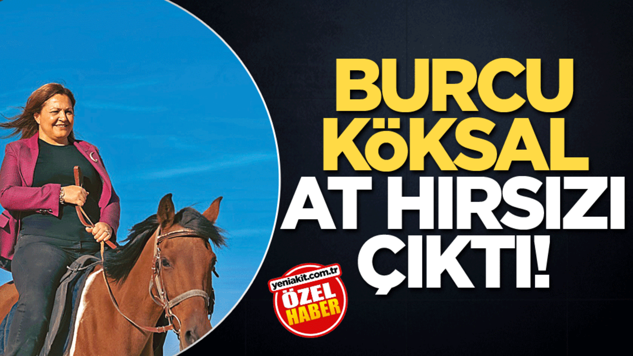 Burcu Köksal at hırsızı çıktı!