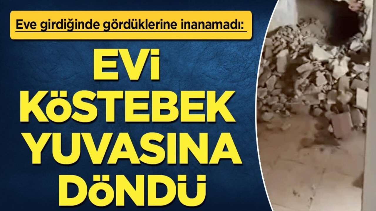 Bursa'da baba evi köstebek yuvasına döndü: Eve girdiğinde gördüklerine inanamadı!