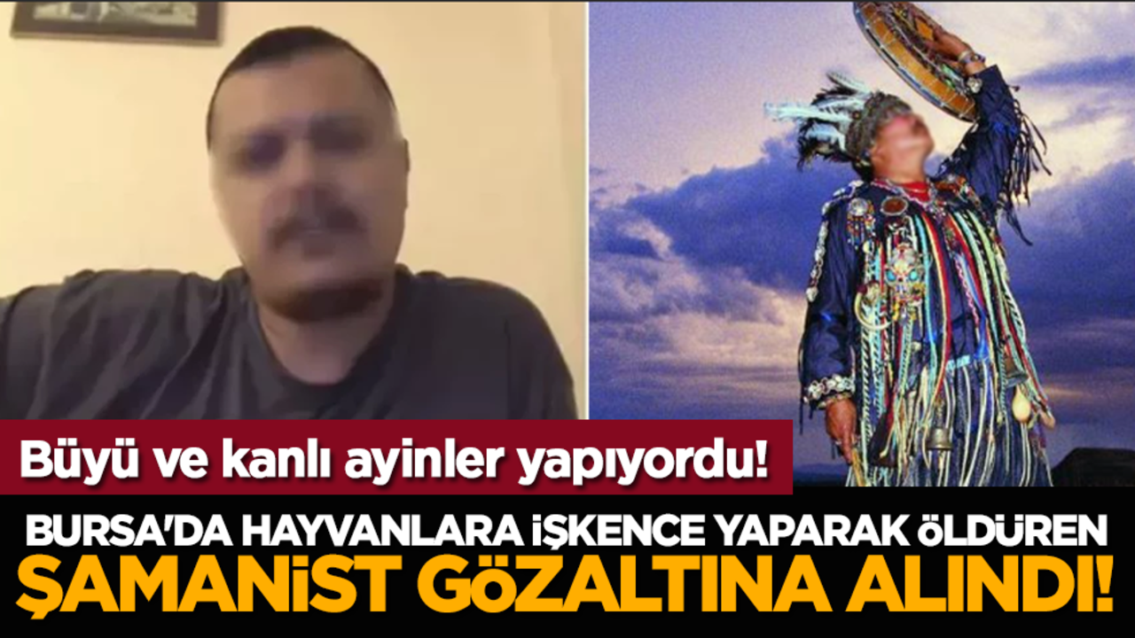 Bursa'da hayvanlara işkence yaparak öldüren şamanist gözaltına alındı!