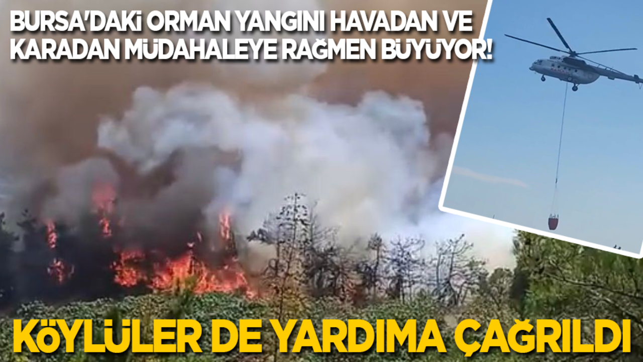 Bursa'daki orman yangını havadan ve karadan müdahaleye rağmen büyüyor! Köylülerden de yardım istendi