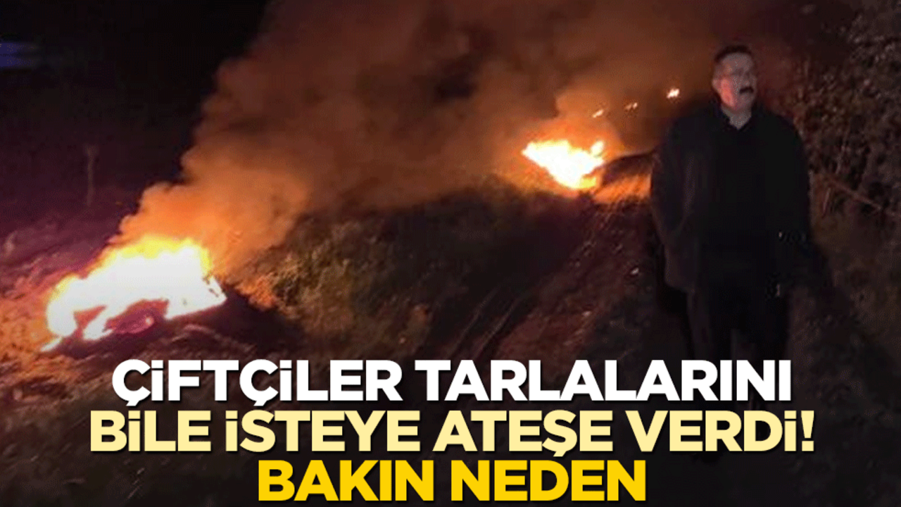 Bursalı çiftçiler tarlaları bile isteye ateşe verdi! Bakın neden