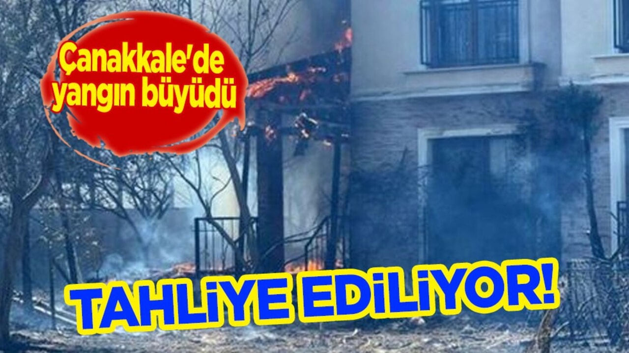 Çanakkale'de yangın paniğe yol açtı! Orman yangını: Vali vatandaşları uyardı! 