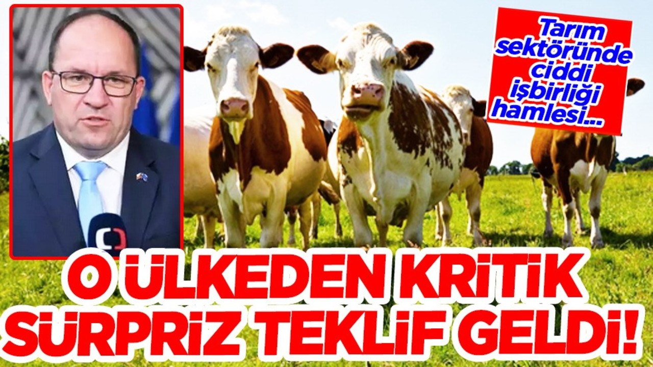 Çekya'dan Türkiye'ye teklif! 2 ülke sığır eti sektöründe hazırlıklarına başladı